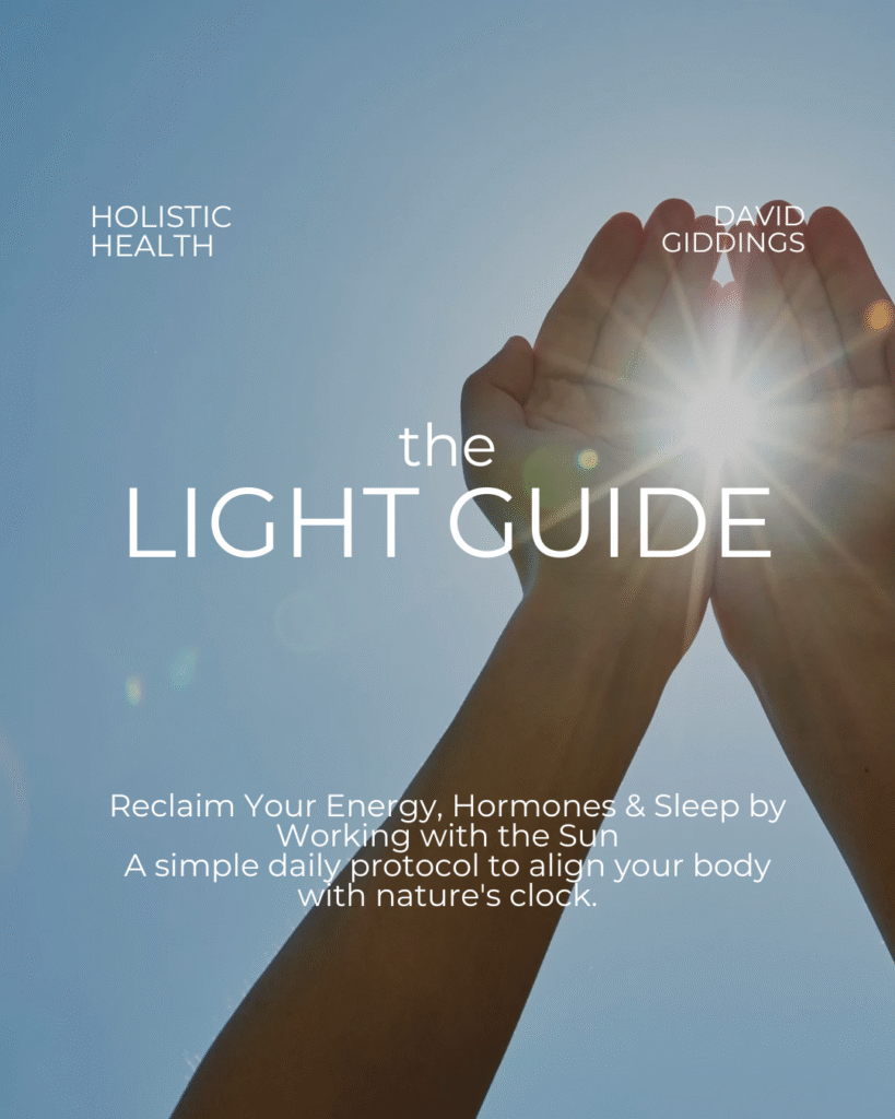 the light guide